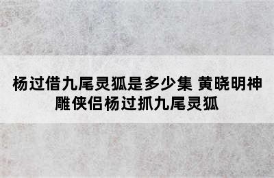 杨过借九尾灵狐是多少集 黄晓明神雕侠侣杨过抓九尾灵狐